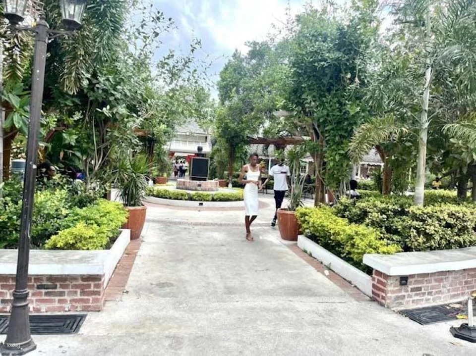 Kingston full-day guided tour