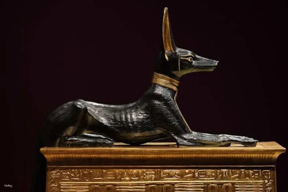 Best of Cairo Hidden Gems from Hurghada Including Flights