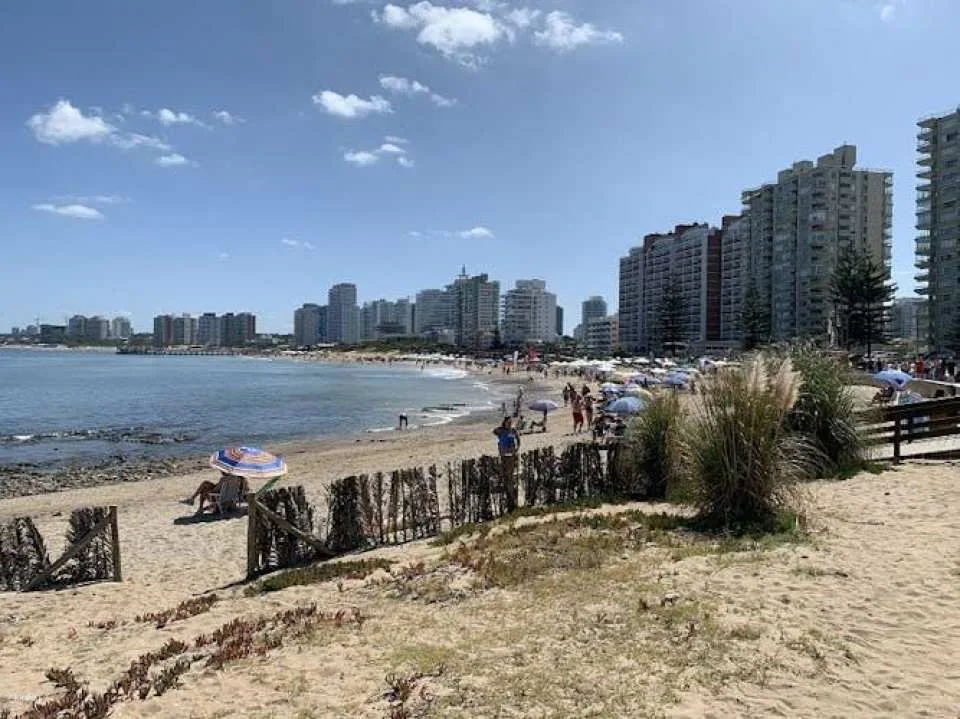 Punta del Este full-day guided tour from Montevideo