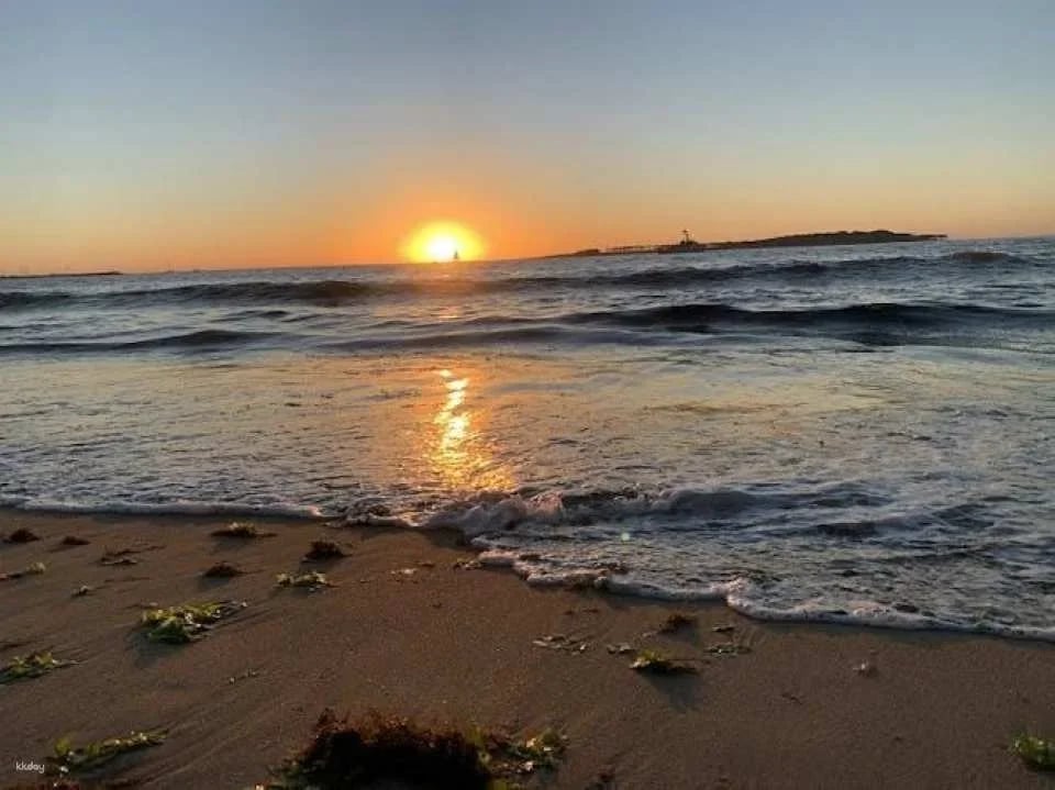 Punta del Este full-day guided tour from Montevideo