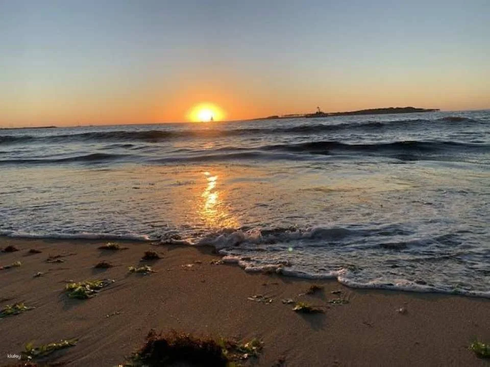 Punta del Este full-day guided tour from Montevideo