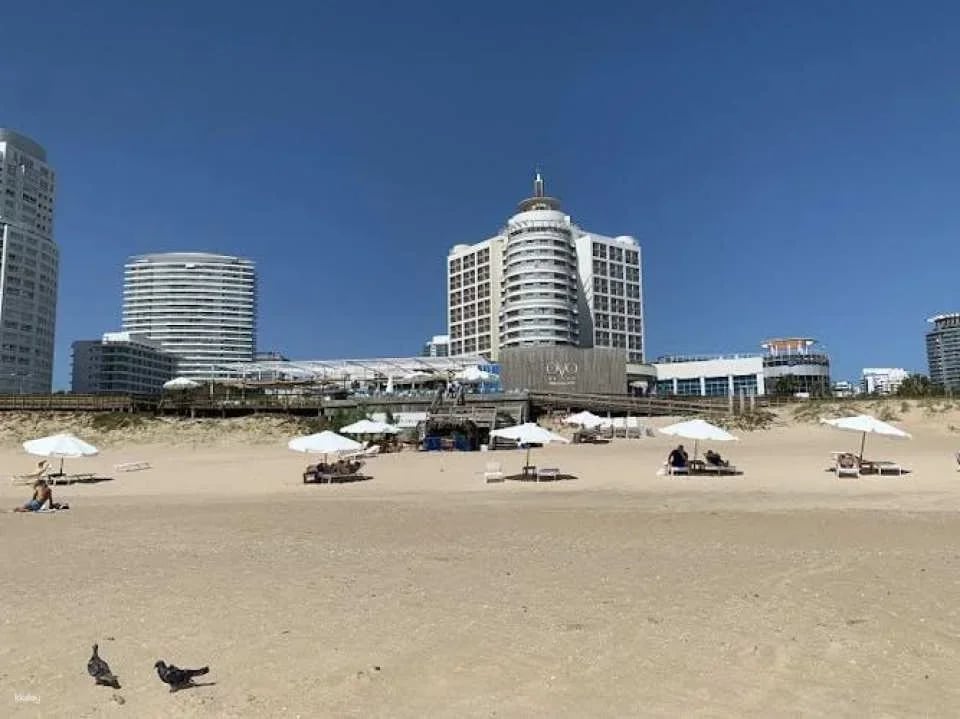 Punta del Este full-day guided tour from Montevideo