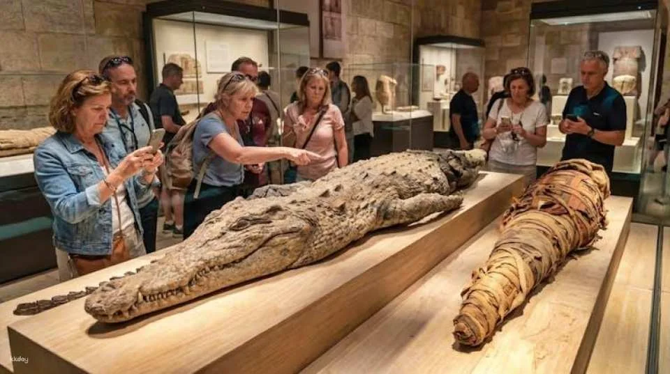Sharm City Tour with the Antiquity Museum