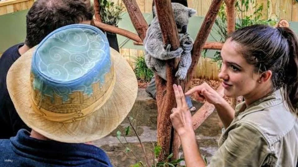 Wildlife, waterfalls and wine full-day private tour from Sydney