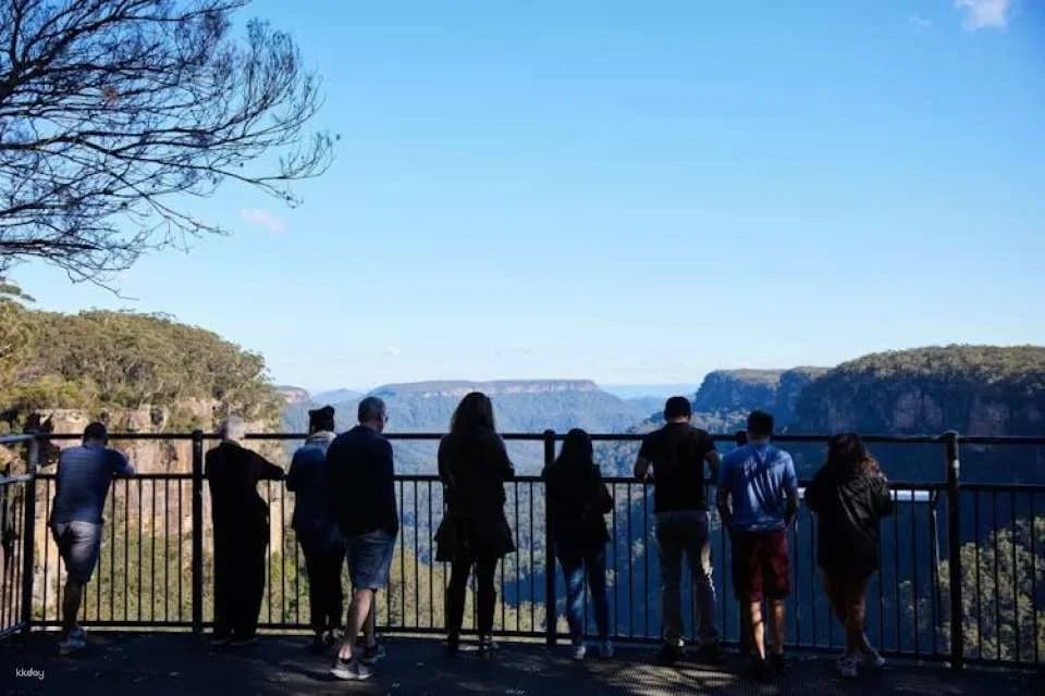 Wildlife, waterfalls and wine full-day private tour from Sydney