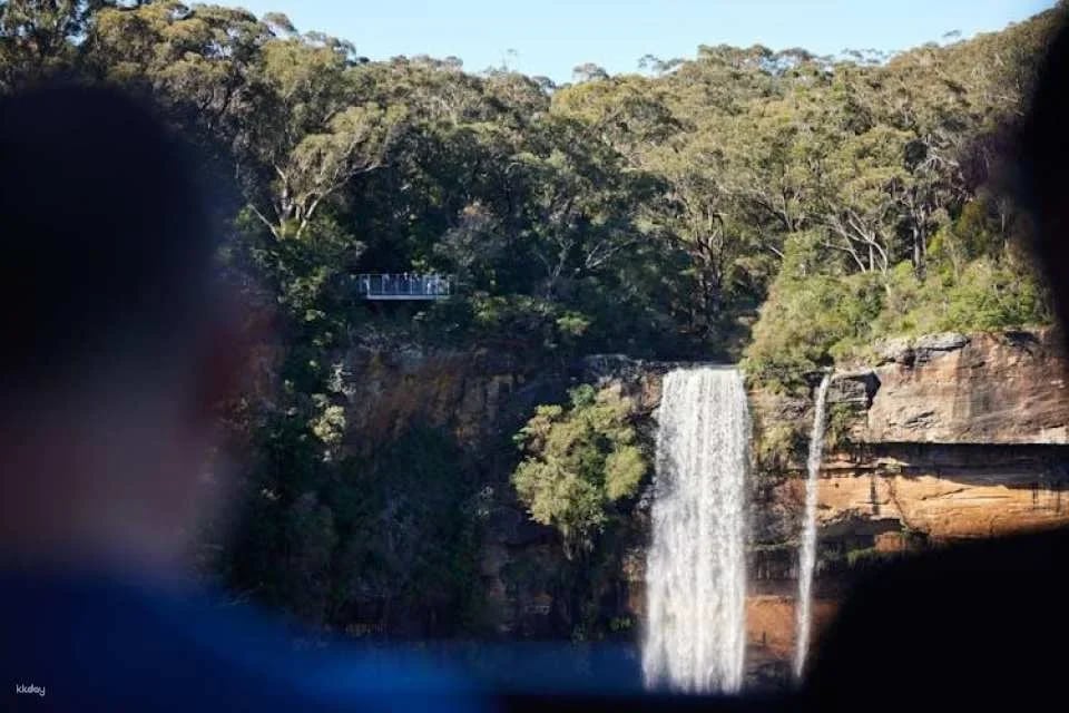 Wildlife, waterfalls and wine full-day private tour from Sydney