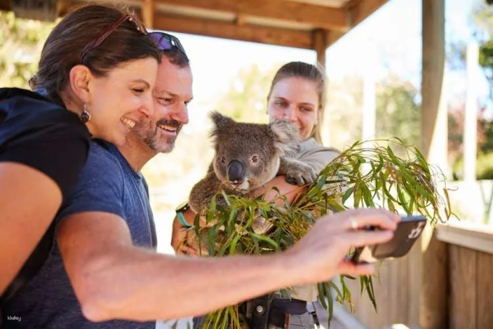 Wildlife, waterfalls and wine full-day private tour from Sydney
