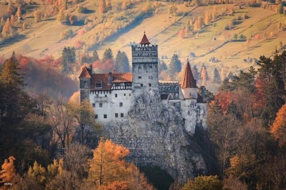 Bran Castle, Peles Castle and Brasov Guided Tour