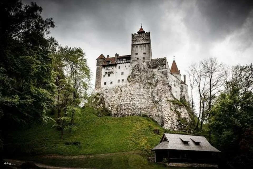 Bran Castle, Peles Castle and Brasov Guided Tour