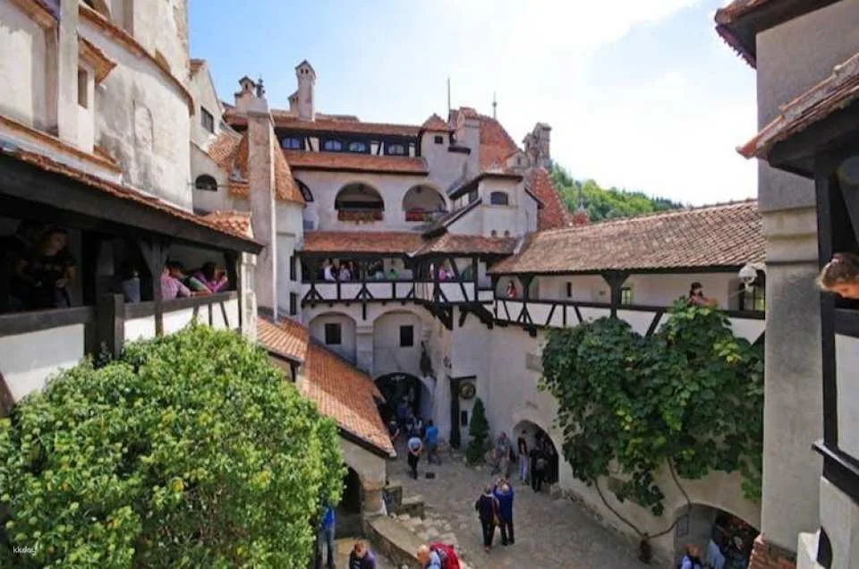 Bran Castle, Peles Castle and Brasov Guided Tour