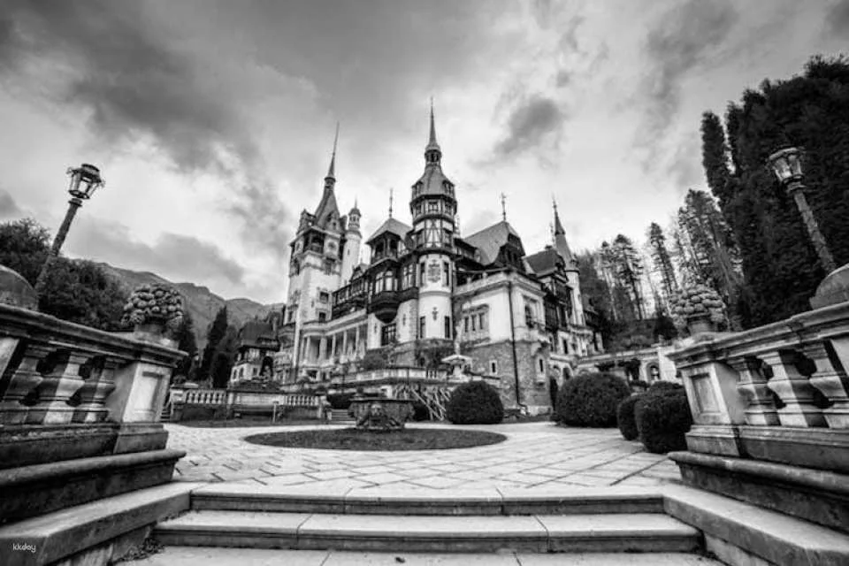 Bran Castle, Peles Castle and Brasov Guided Tour