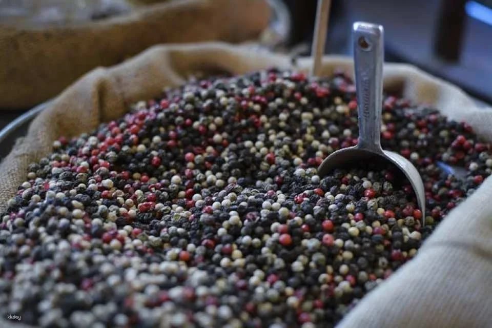 Greek gastronomy tour of Athens