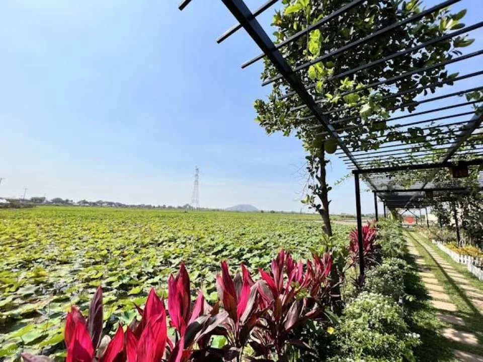 Half-day Siem Reap countryside bike tour with guide