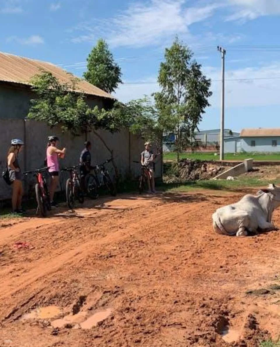 Half-day Siem Reap countryside bike tour with guide
