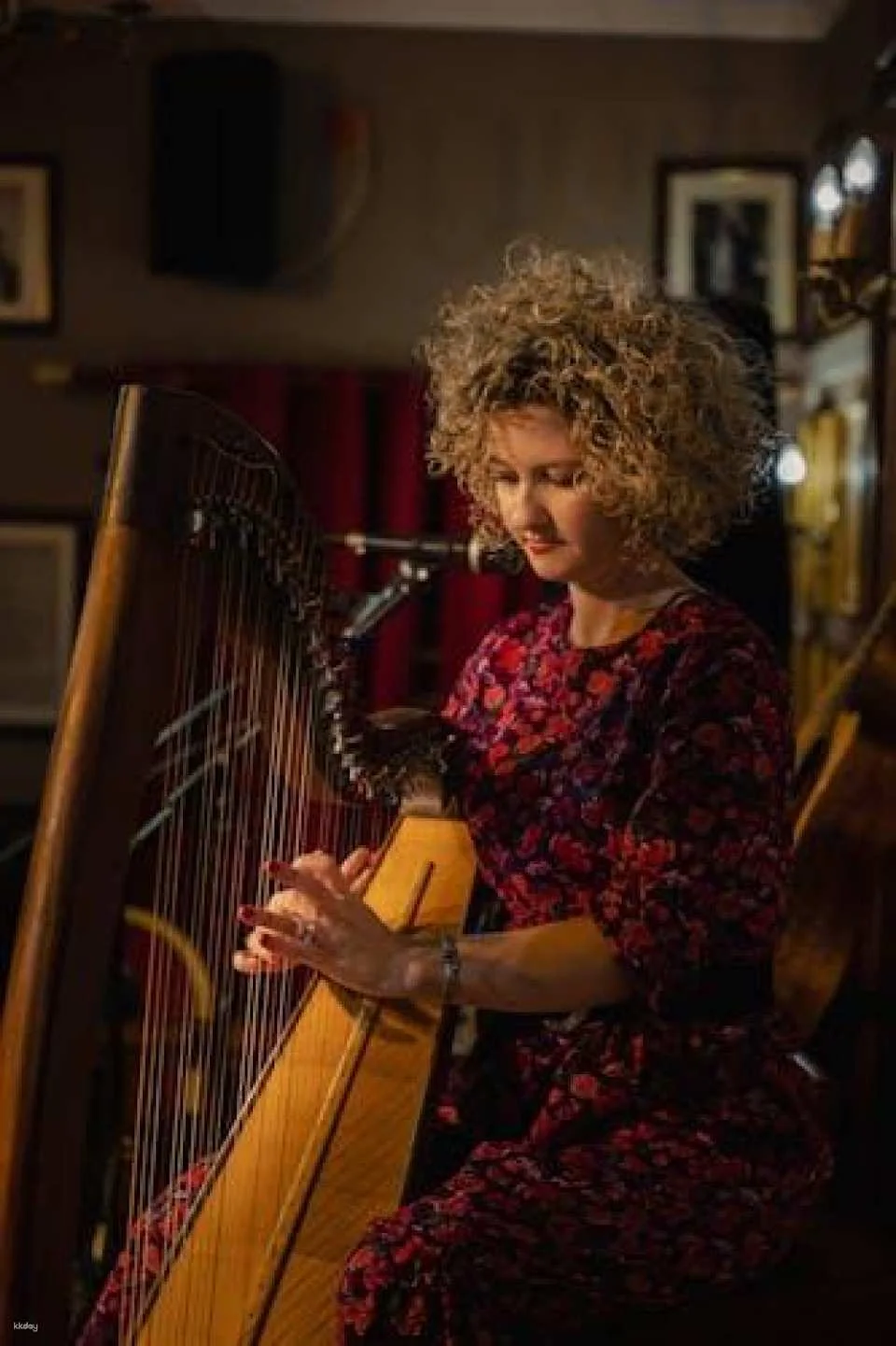 Music and dance show with optional dinner at the Irish House Party