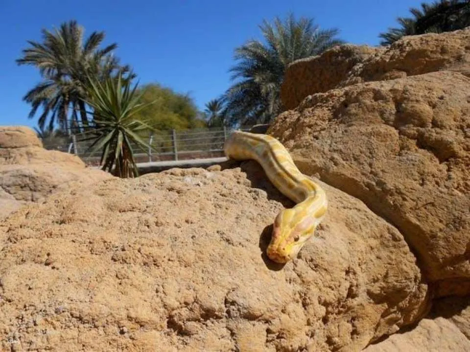 Djerba Explore Park Tour