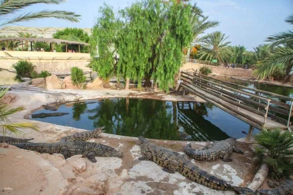 Djerba Explore Park Tour