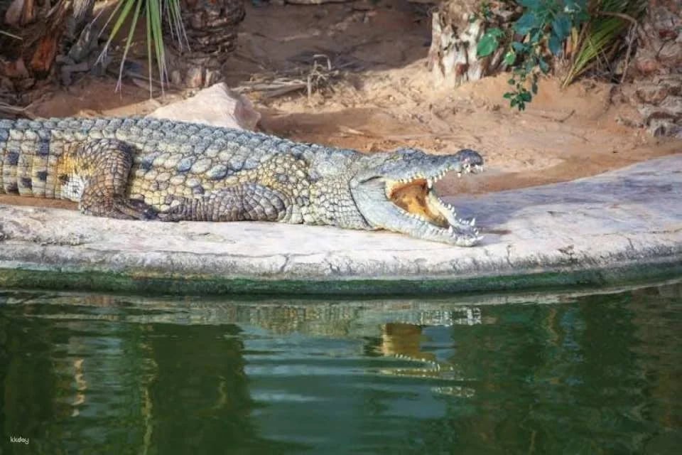 Djerba Explore Park Tour