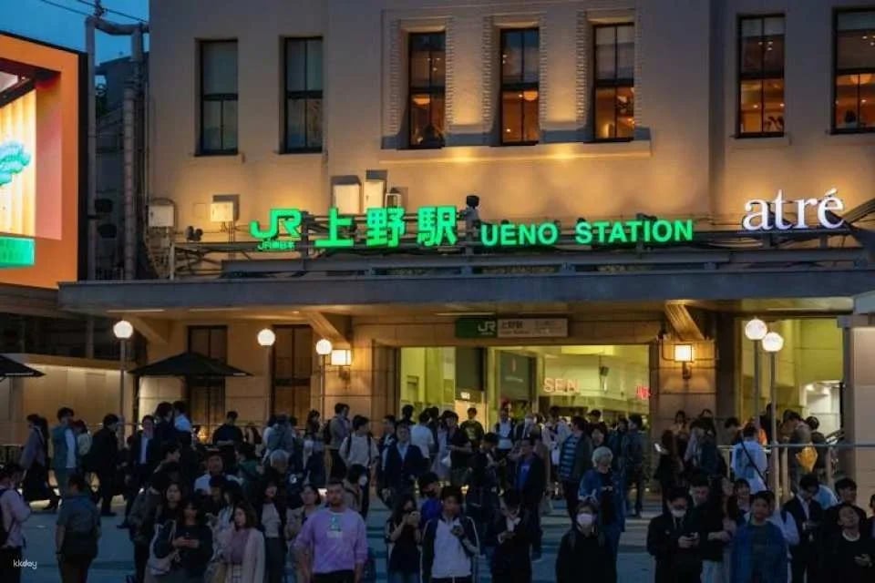 Guided Bar Hopping Night Tour in Ueno with Food and Drinks