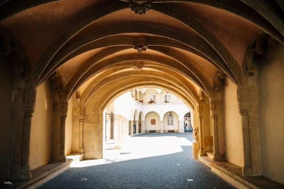 Guided Walking Tour through Bratislava's Landmarks