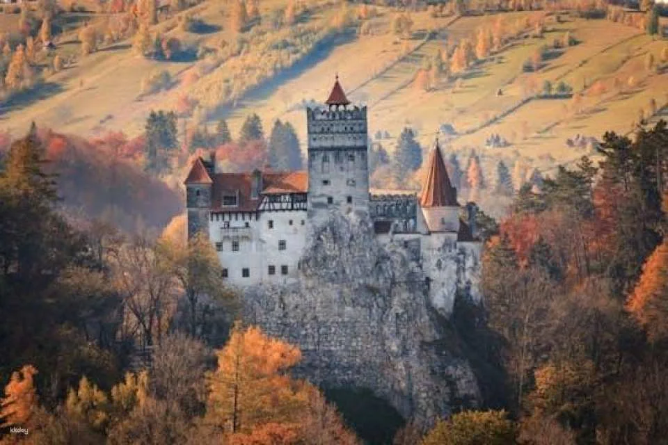 Bran Castle, Peles Castle and Brasov Full-Day Tour (620020)