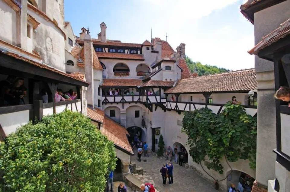 Bran Castle, Peles Castle and Brasov Full-Day Tour