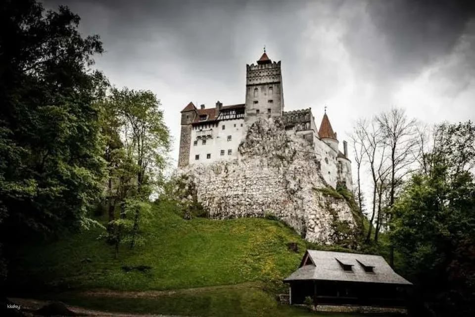 Bran Castle, Peles Castle and Brasov Full-Day Tour