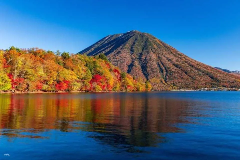 Nikko Toshogu Shrine and Kegon Waterfall Tour from Tokyo