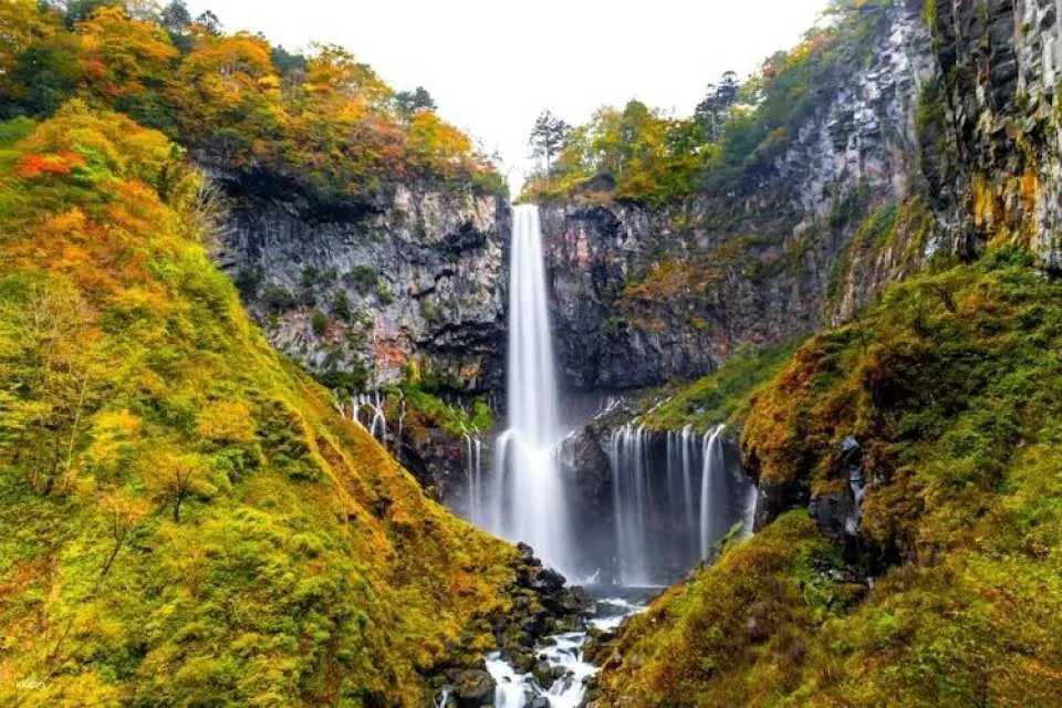 Nikko Toshogu Shrine and Kegon Waterfall Tour from Tokyo
