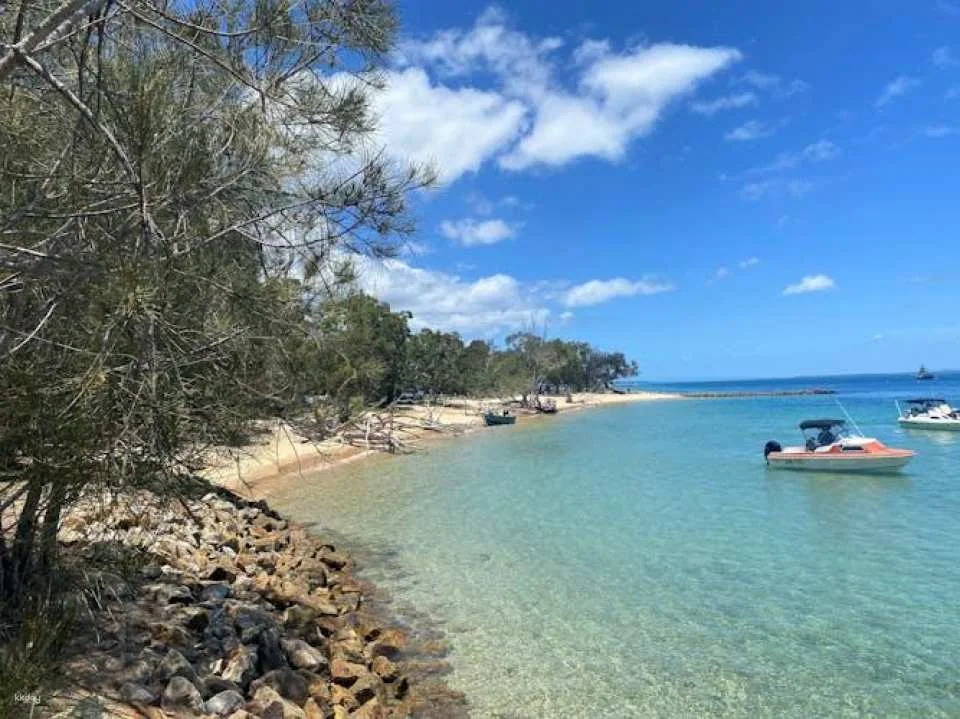 North Stradbroke Island small groups day tour