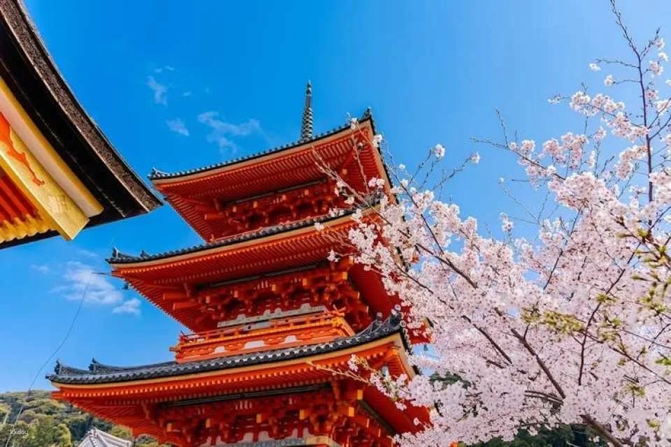 Full-Day Guided Tour of Kansai's Top Attractions