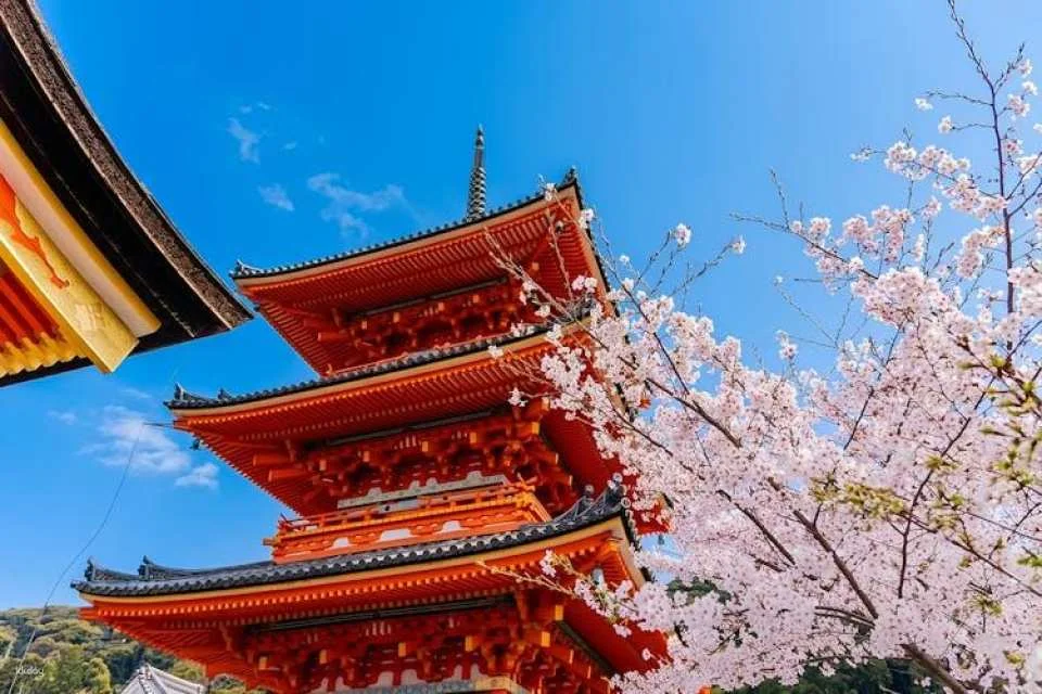 Full-Day Guided Tour of Kansai's Top Attractions