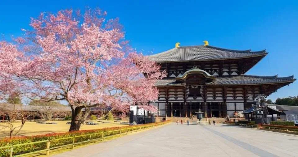 Full-Day Guided Tour of Kansai's Top Attractions