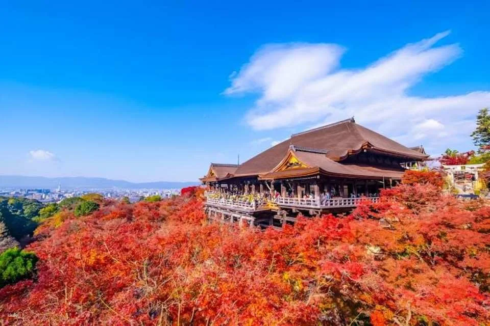 Full-Day Guided Tour of Kansai's Top Attractions
