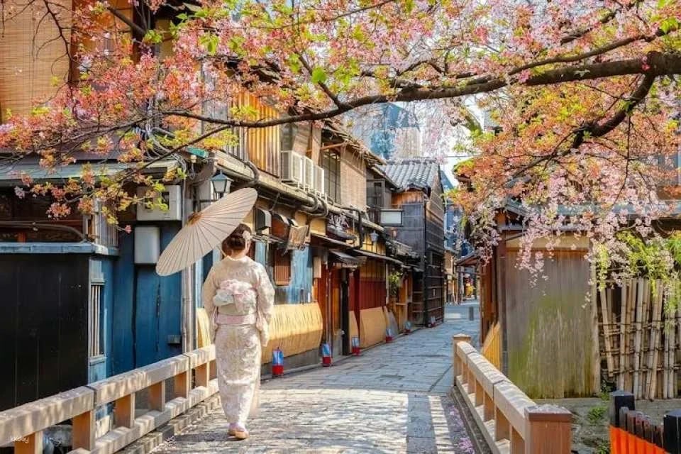 Full-Day Guided Tour of Kansai's Top Attractions