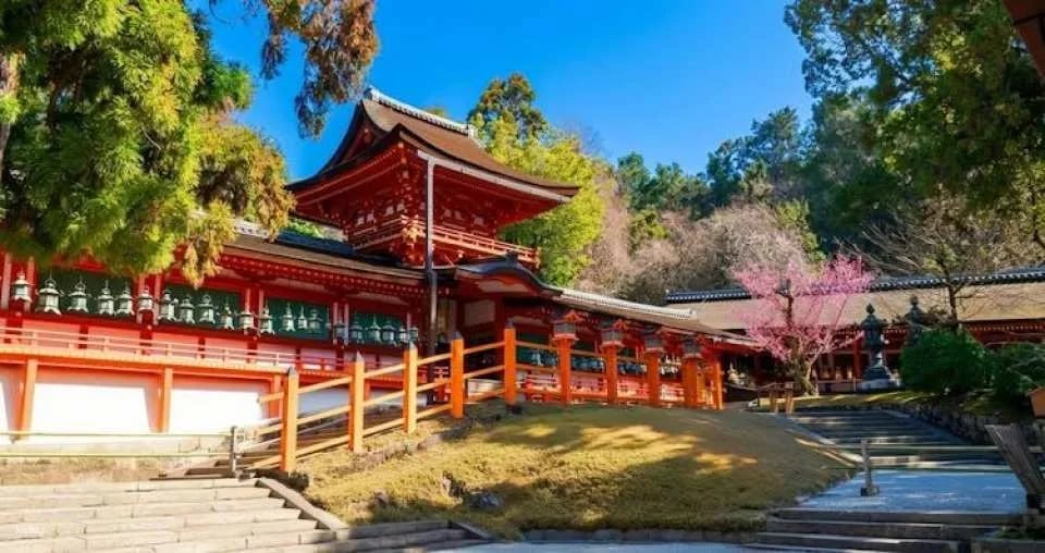 Full-Day Guided Tour of Kansai's Top Attractions
