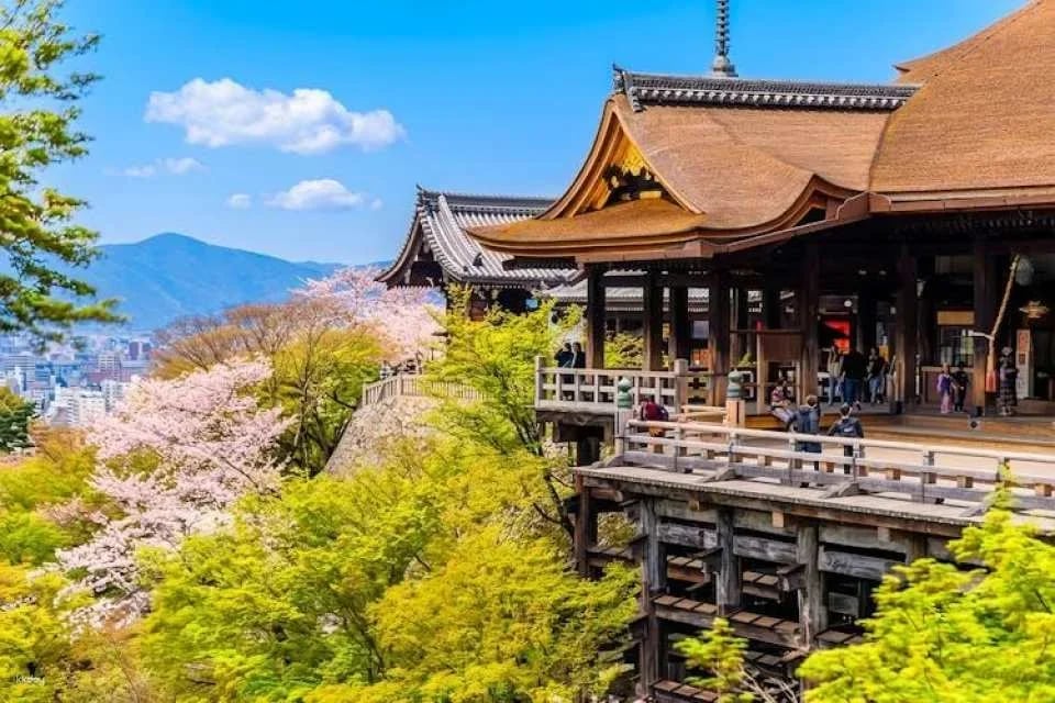 Full-Day Guided Tour of Kansai's Top Attractions