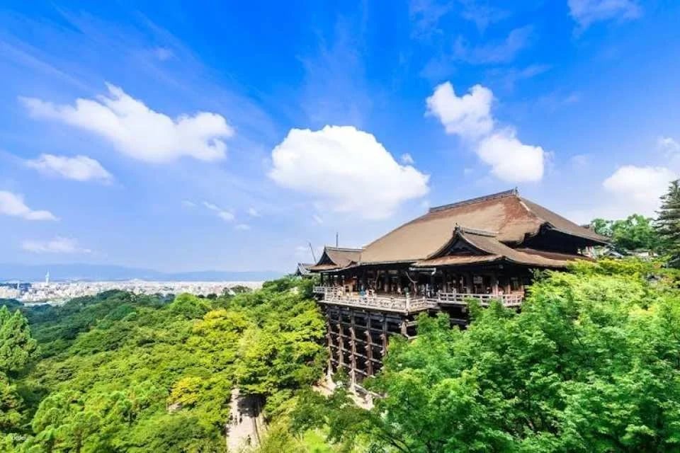 Full-Day Guided Tour of Kansai's Top Attractions