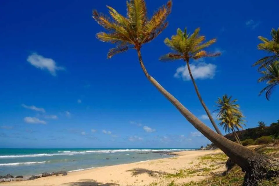 City Tour Of Natal And The South Coast-Group Tour