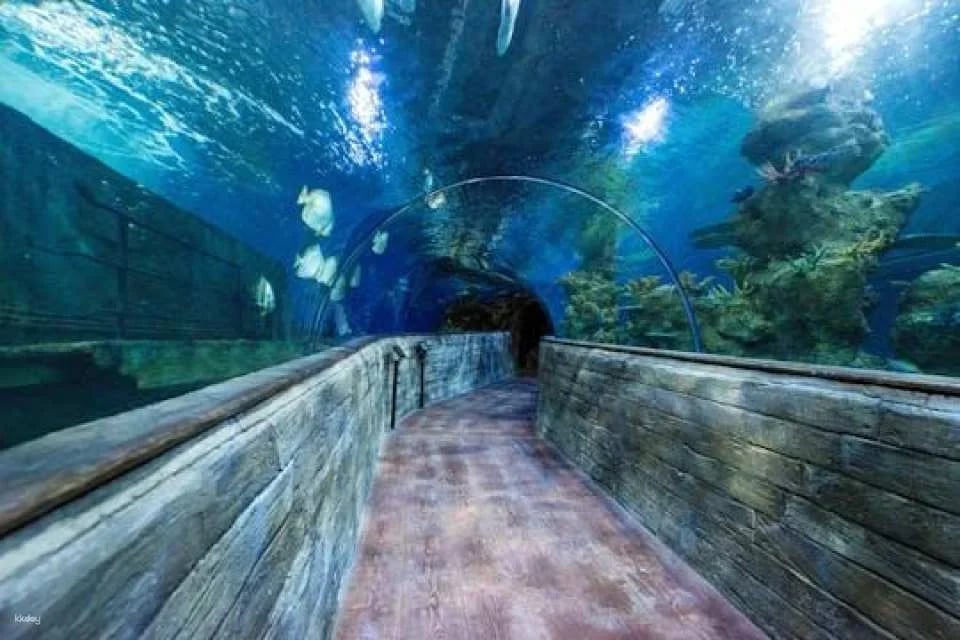 Malta National Aquarium Ticket