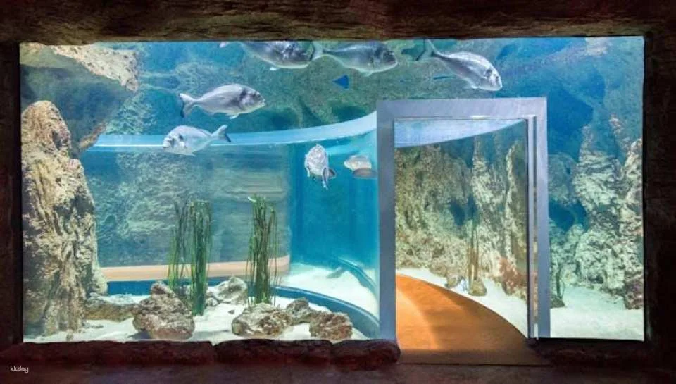 Malta National Aquarium Ticket