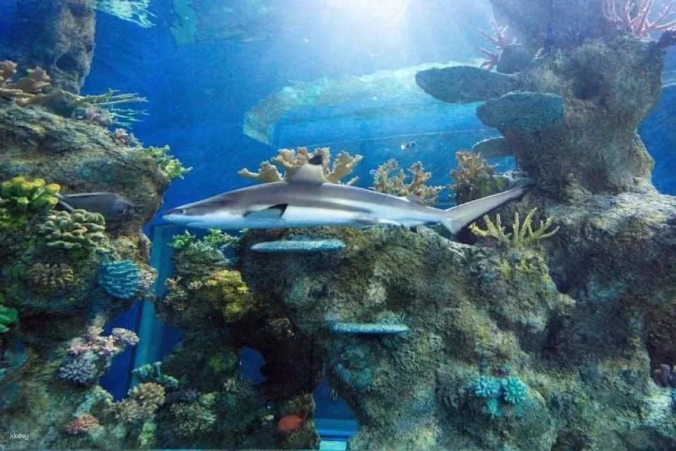 Malta National Aquarium Ticket