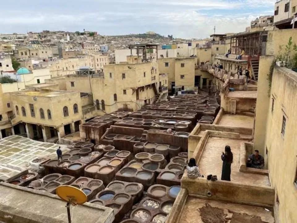 Full-day Fez city tour with local guide