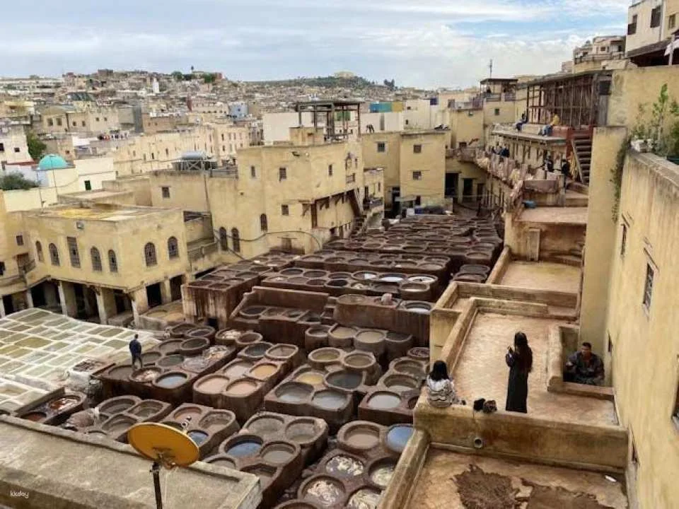 Full-day Fez city tour with local guide