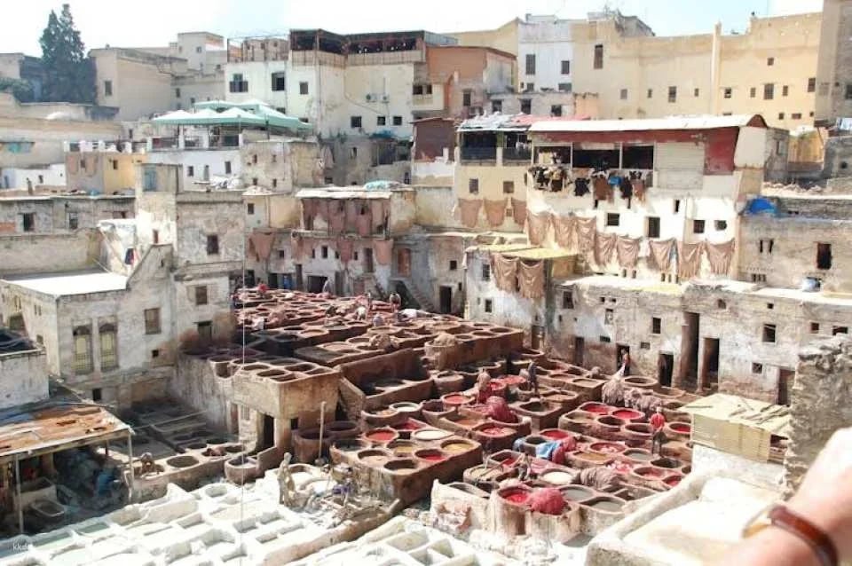 Full-day Fez city tour with local guide