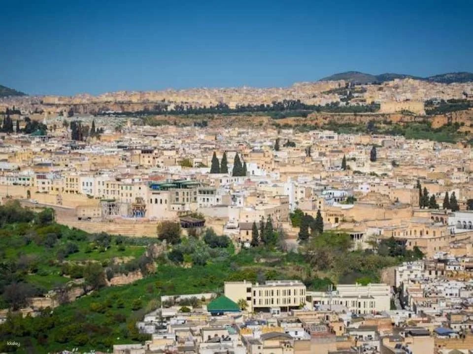 Full-day Fez city tour with local guide