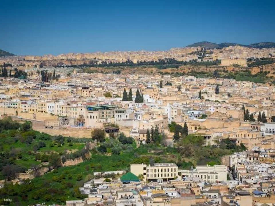 Full-day Fez city tour with local guide