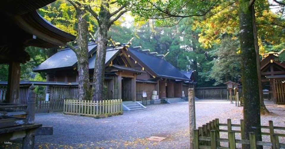 Miyazaki, Takachiho Gorge and Shrines guided tour from Fukuoka