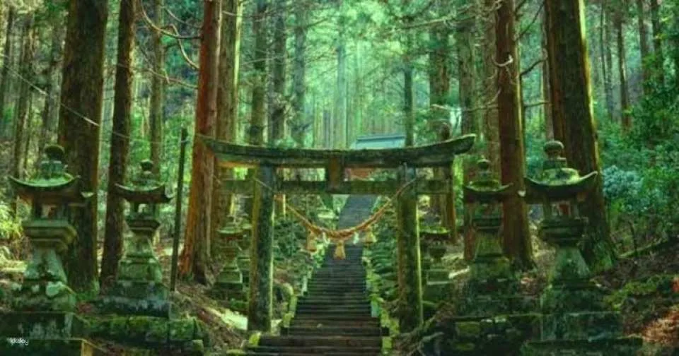Miyazaki, Takachiho Gorge and Shrines guided tour from Fukuoka