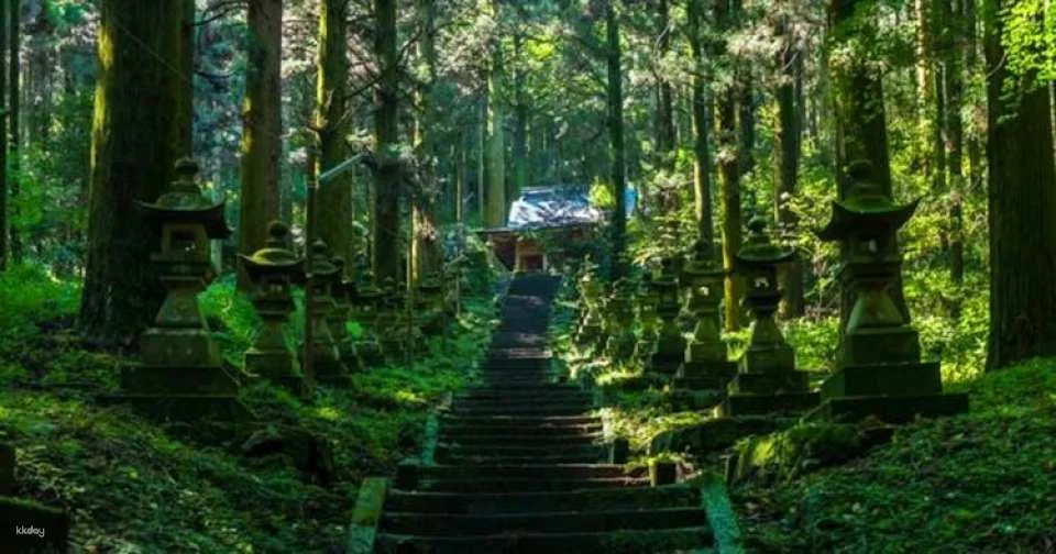 Miyazaki, Takachiho Gorge and Shrines guided tour from Fukuoka